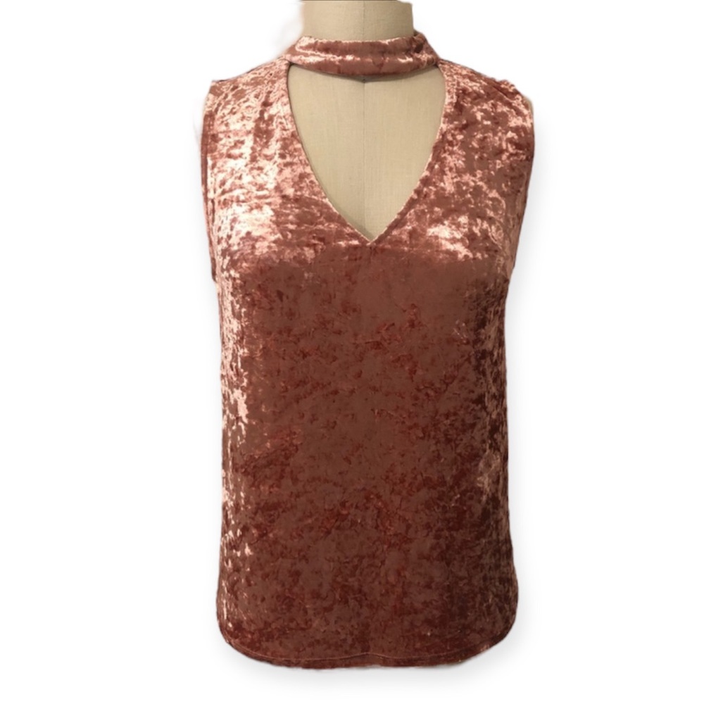 Urban Girl Crushed Pink Velvet Top